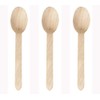 DON PALILLO - Set of 100 Disposable Wooden Spoons 16cm