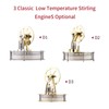 Low Temperature Stirling Engine Assembled Electricity Generator Heat Experiment Physical