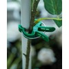 Plant Clips Plant Clips for Trellis Tomatoes, Roses, Cucumbers and