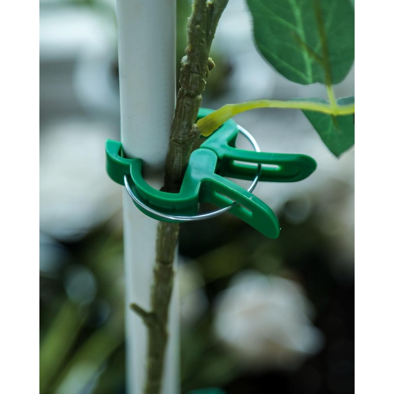 Plant Clips Plant Clips for Trellis Tomatoes, Roses, Cucumbers and