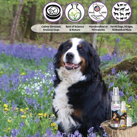 The Blissful Dog Bernese Mountain Dog Relax Dog Aromatherapy Spray for Anxiety