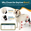 YENBOLOI Dog Knee Brace Dog ACL Brace Hind Leg Dog