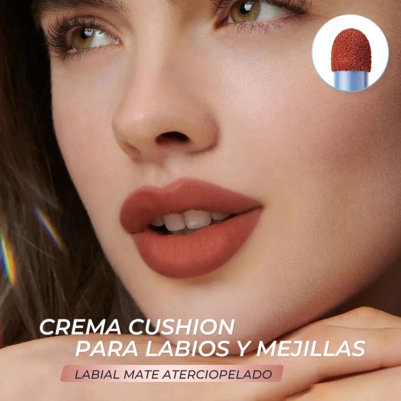 Paleta Maquillaje Libro 4 Capas Sombras Nude Rubor Contorno