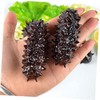 KICHOUSE 3pcs Lifelike Artificial Sea Cucumber Models Display Props Fun