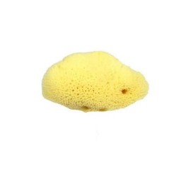 Croll and Denecke L150 Fine-Pored Natural Sponge, Levantiner from the Mittelmeer, 15 cm