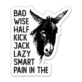 Funny Ass Sticker - 3" Laptop Sticker - Waterproof Vinyl for Car, Phone, Water Bottle - Bad Wide Hald Kick Jack Kick Smart Lazy Decal