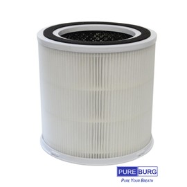 PUREBURG Replacement Filter Compatible with DR.J AP301 AP302 & GCZ AP302 Air Purifier,2-Pack H13 True HEPA 4-Stage Filtration Activated carbon 2-IN-1