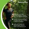 NaturesPlus Source of Life - 90 Mini-Tabs - Multivitamin &