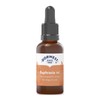 Dorwest Herbs Euphrasia 15C Homoeopathic Liquid Remedy for Dogs &
