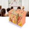 Skin Model, 50X Enlarged Anatomical Model Anatomy 3D Human Skin