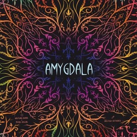 Amygdala - Resource Collecting Game by Game Brewer - Games for Game Night - 2 to 4 Players