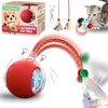 Interactive Cat Ball Toys, 360° Intelligent Auto-Rolling Cat Toy Ball