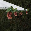 keeda Solar String Lights with Vines, Waterproof 80 LED Grape