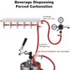 Ferroday 6 Way CO2 Gas Manifold, CO2 Gas Distributor, 5/16"