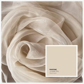 Megachest 145CM Wide Soft Organza Dress Fabric Fancy Costumes Decorations 50 Colors(Parchment/Mink,5 Meters)