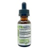 mySuccus Indian Borage (Mexican Mint) Tincture- Respiratory Support