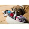 Hartz Squeakerz Stuffing-Free Plush Woodland Animal Dog Toy