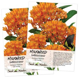 Seed Needs, Butterfly Milkweed Seeds for Planting (Asclepias tuberosa) Twin Pack of 100 Seeds Each - Heirloom, Non-GMO & Untreated, Attracts Monarchs