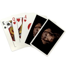 Chocolate Labrador Puppy (52 Playing Cards, Poker Size Card Deck with Jokers)