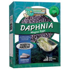 GREEN WATER FARM GreenWaterFarm Daphnia Magna Eggs Live Fish Food for Hatching and Culture Suitable for Feed Betta Fish