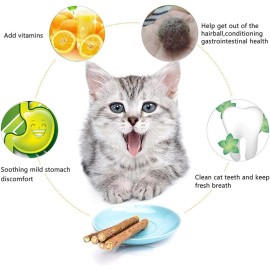 Brand: WoLover 10 PCS Cat Catnip Sticks, Natural Matatabi Silvervine Sticks - 10 PCS, Brown