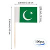 JBCD Pakistan Toothpick Flag Pakistani Mini Small Cupcake Topper Flags,
