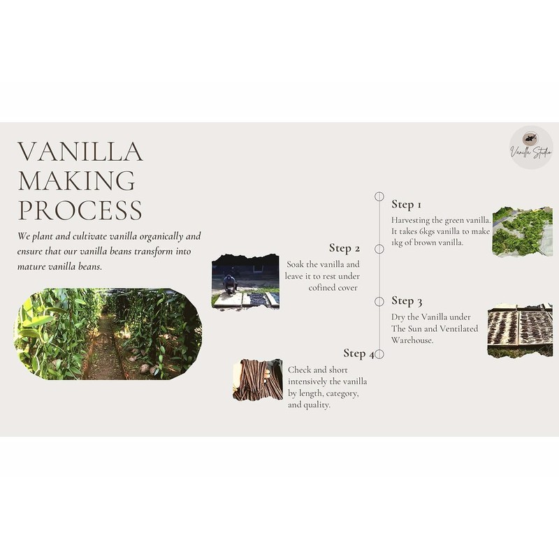 Vanilla Studio 10 Count Indonesian Grade A Vanilla Beans