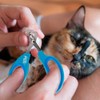 Fancy Pets Tijera Cortauñas para Gato Tamaño Grande