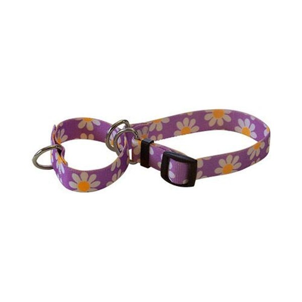 Lavender Daisy Martingale Control Dog Collar - Size Extra Small 10" Long - Made In The USA