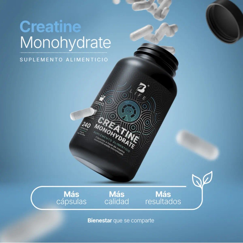 Creatina Monohidratada Cápsulas 240 Cáps Desempeño Recuperación Muscular Alta Pureza
