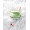 DinCee [딘시] 프리미엄 비건 눈연꽃 히알루론산 수분크림 50ml [Dinsi] Premium Vegan Lotus Flower Hyaluronic Acid Moisture Cream 50ml