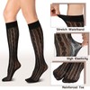BOARDFEB 6 Pairs Women's Lace Socks Women's Fishnet Knee High
