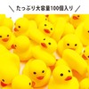 DINETTE Pyotto Duck (100 Pieces)
