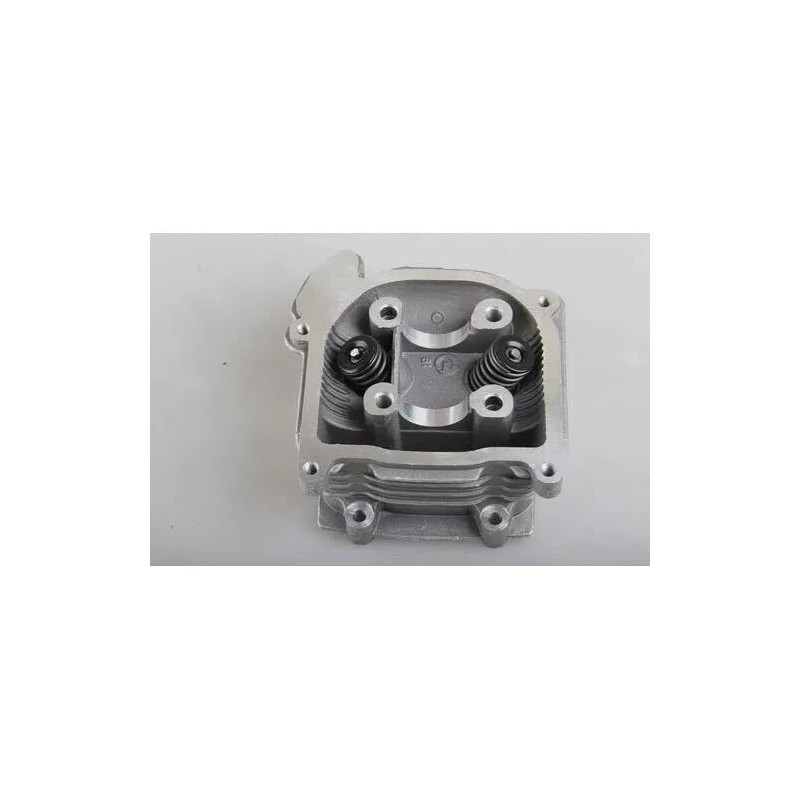 FANCY SCOOTERS Wolf Islander 50,Jet 50,GY6-50 High Performance 100cc Top