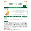 紀陽除虫菊 バーデンタブ 足湯用 ( 薬用入浴剤 / 14錠入り ) 重炭酸 錠剤タイプ