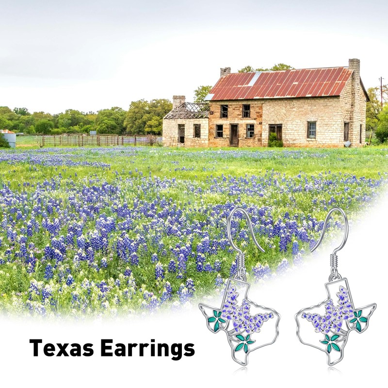 MEIDERBO Texas Earrings 925 Sterling Silver Texas State Map Flag