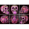 mtb more energy Decorative Skull "Santa Muerte" - Day of