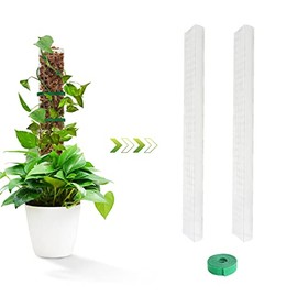 EOX 24 Inch Plastic Moss Pole for Plants Monstera, 2 Pcs Plant Poles for Climbing Plants, Plant Support for Indoor Plants Work with Sphagnum Moss