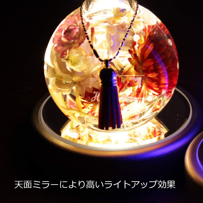 Herbarium Light Coaster LED Pedestal Axta Christmas Rainbow Display Stand