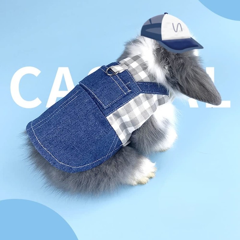 Rabbit Harness and Leash for Walking Escape Proof - Cute
