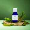 Krivi Herbals Cypress Essential Oil -100% Natural Cypress Oil -