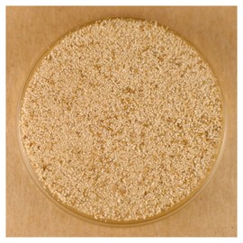 Celery Salt - 8.2 oz Pouch Stovetop Shaker Jar