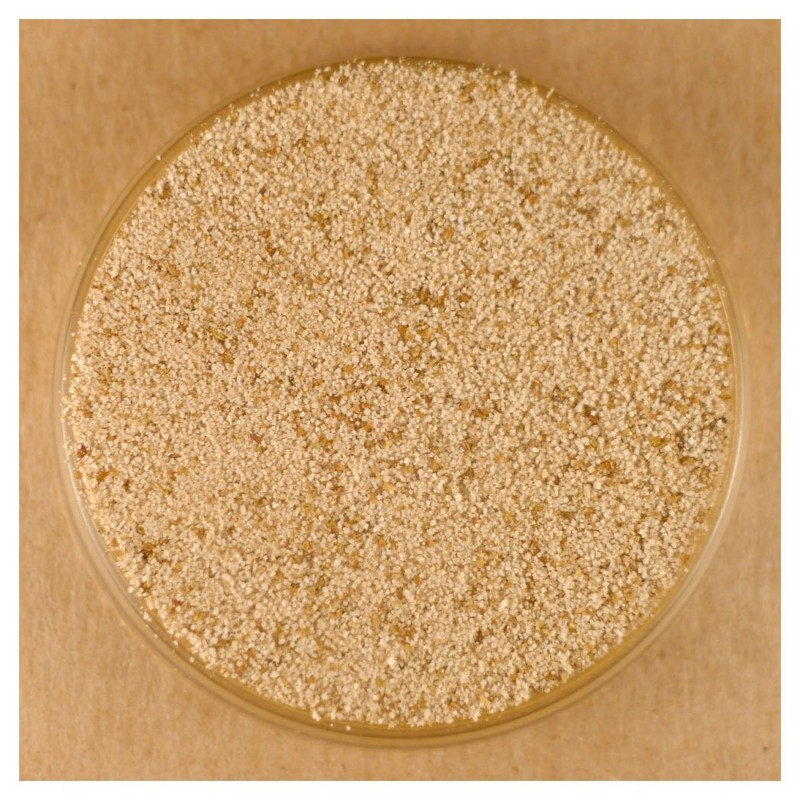 Celery Salt - 8.2 oz Pouch Stovetop Shaker Jar