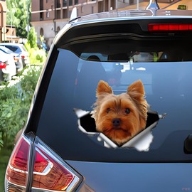 Car Sticker 22 cm (8.7 Inch) Yorkshire Terrier Sticker 3D Torn Reflective Car Sticker Yorkshire Terrier Car Sticker Pet Dog Waterproof Sticker Bumper Rear Window Decor
