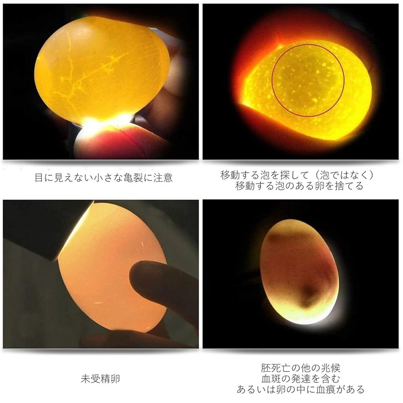 ziyue Egg Detector Light, Hatcher, Egg Detection Light, Hatcher, Hatcher,