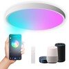 DoHome Smart LED Ceiling Light Work with Apple Homekit Alexa