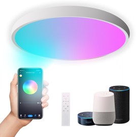 DoHome Smart LED Ceiling Light Work with Apple Homekit Alexa and Google Home RGBCW Color Changing Light Flush Mount Ceiling Lamp 24W Dimmable for Living Room, Bedroom, Home Use