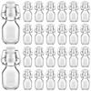 Tessco 24 Pcs Mini Swing Top Glass Bottles with Stoppers