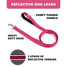 Erbine 4ft Dog Leash for Small Medium Dogs | One-Sided Reflective Nylon | Padded Handle | 3/4 inch Wide | Hot Pink