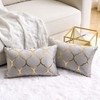 Pack of 2 Grey Gold Pillow Covers 12"x 20" Velvet